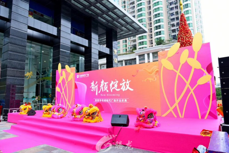 深圳市騰龍文化傳媒有限公司