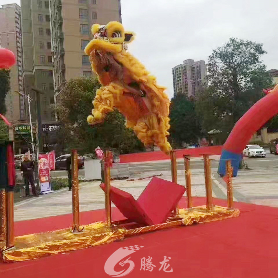深圳市騰龍文化傳媒有限公司
