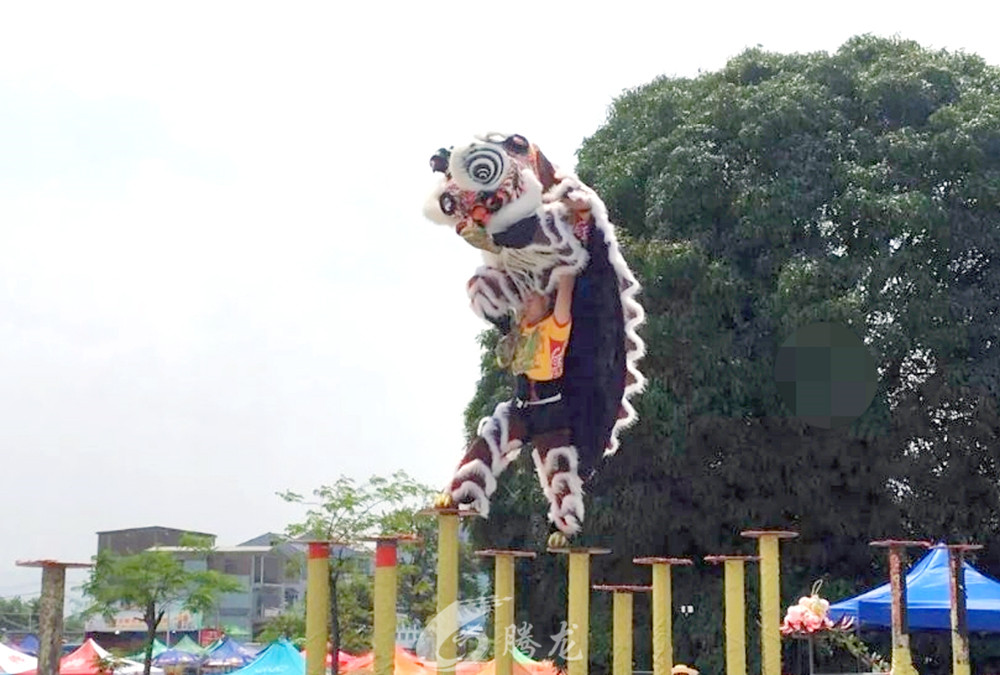 深圳市騰龍文化傳媒有限公司
