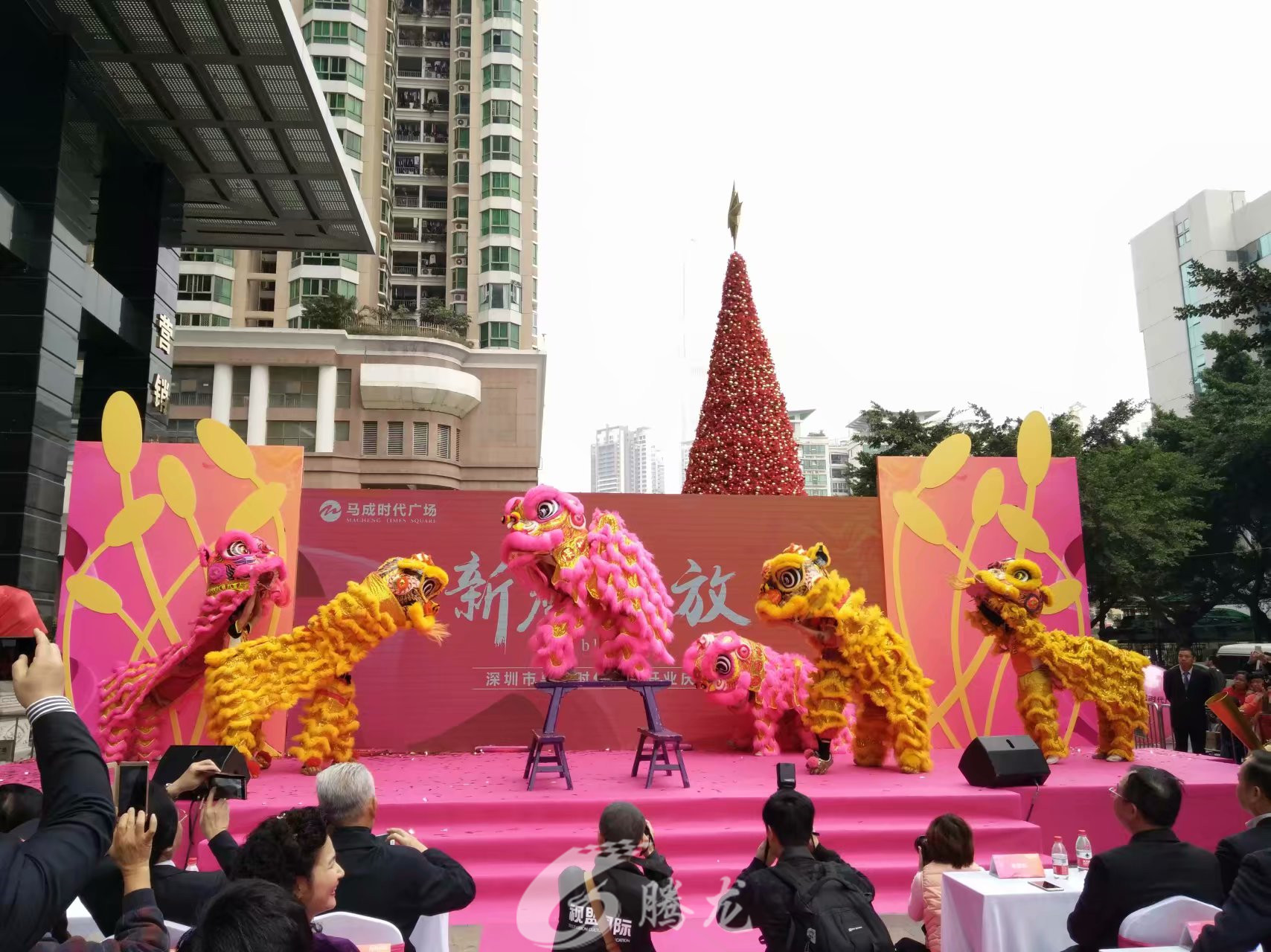 深圳市騰龍文化傳媒有限公司