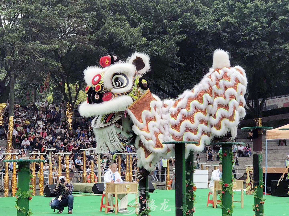 深圳市騰龍文化傳媒有限公司